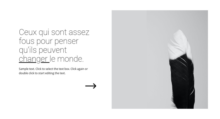 Les Citations Sur Le Design Theme Wordpress