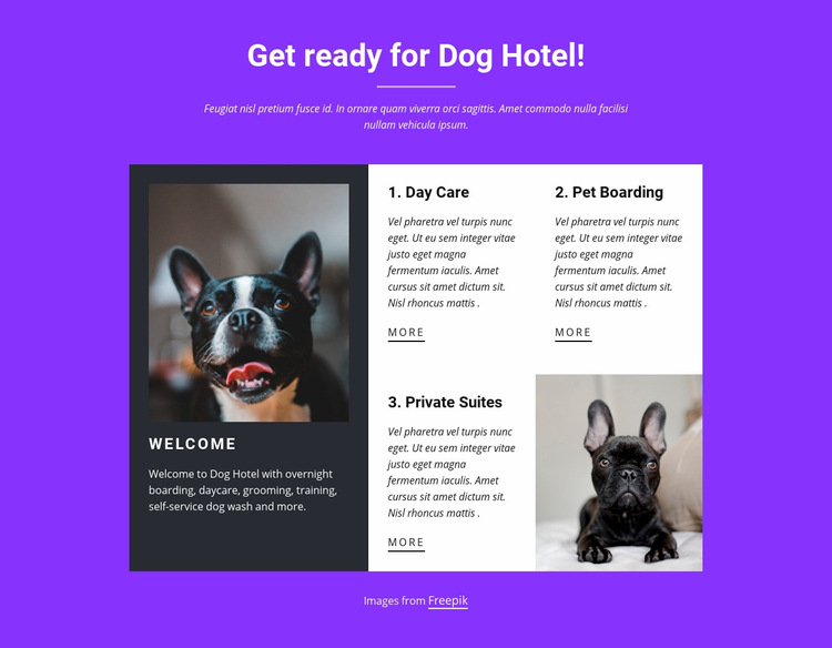 dog boarding website