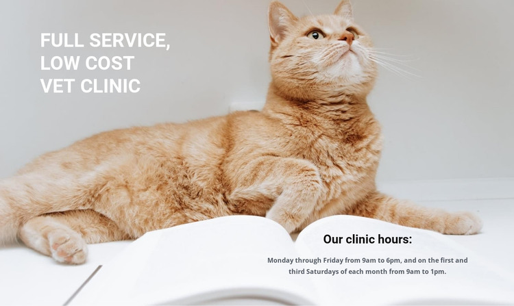 vet low cost clinic