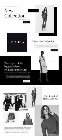 Zara Web Page Design