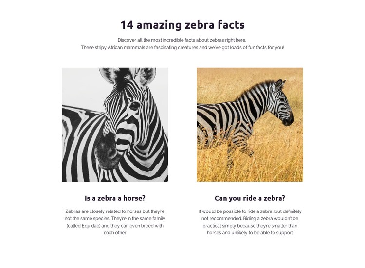 Amazing Zebra Facts Css Template It's important to realize that two different images that have the same aspect ratio may not have the same image size, or dimensions. nicepage