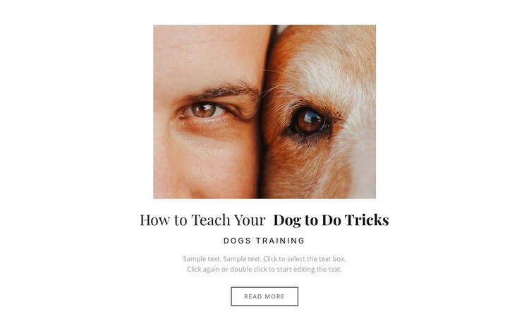 Dog Training Schedule Template from images01.nicepage.io