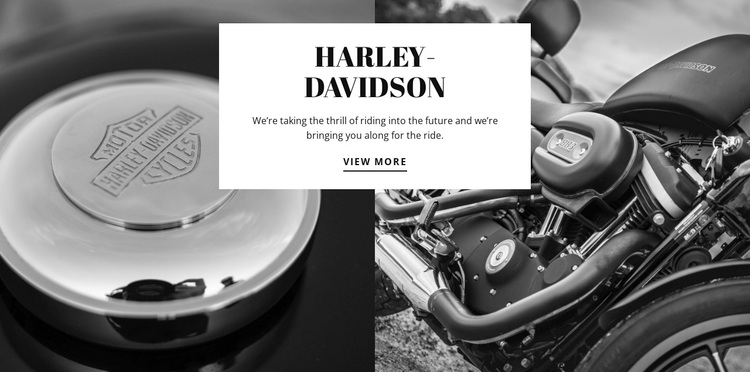 harley davidson motors