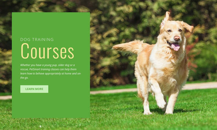Obedience Training For Dogs Website Builder